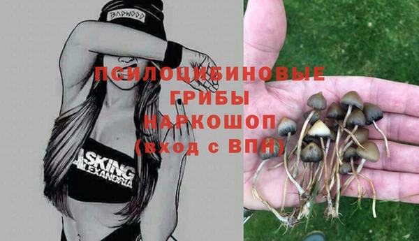 меф Армянск