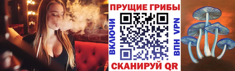 наркота  Вятские Поляны  Псилоцибиновые грибы MAGIC MUSHROOMS 